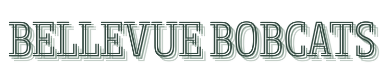 BB